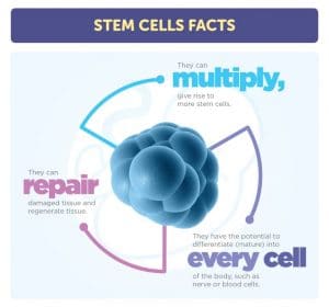 What are Stem Cells? - 5 Types of Stem Cells