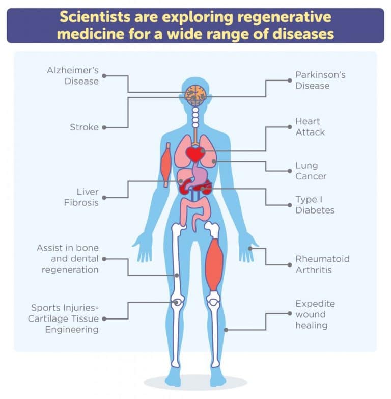 research articles on cord blood banking